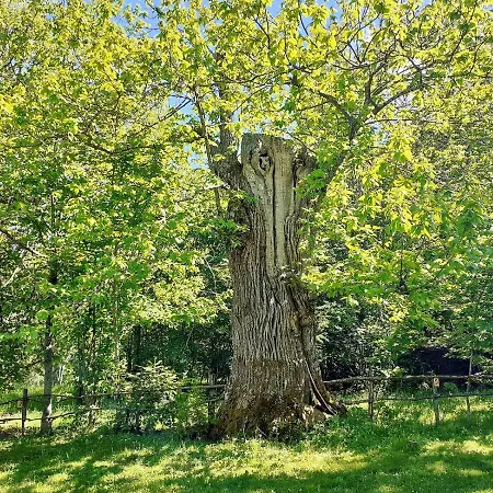בית נופש Borgo Castelluccio *