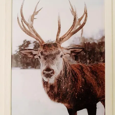 Borgo Castelluccio פורטה טרמה