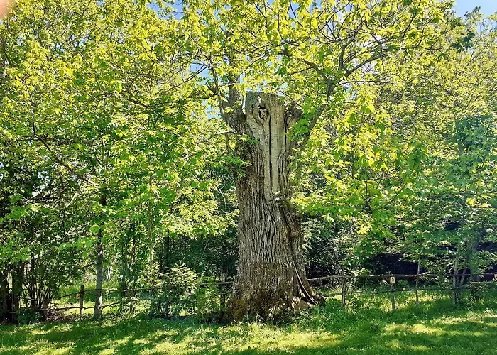 Tatil Evi Borgo Castelluccio *