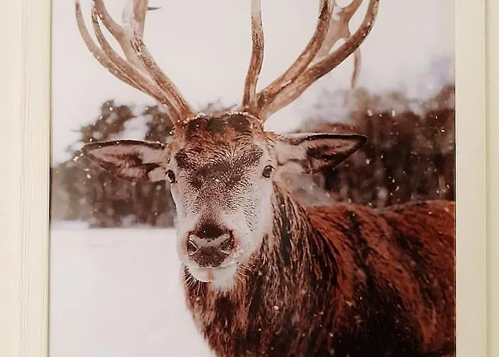Borgo Castelluccio Porretta Terme