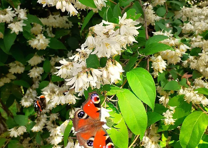 Borgo Castelluccio Porretta Terme